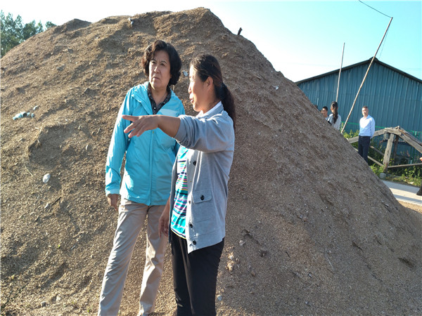 郝林娜理事长与受助母亲严秀芝在滑子菇培养用木屑堆前了解种植情况.jpg