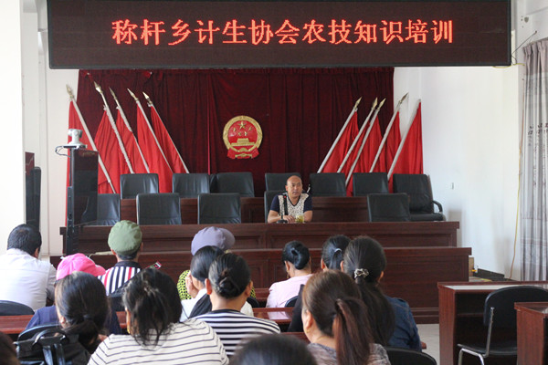 泸水市称杆乡计生协会农技培训培训_副本.jpg