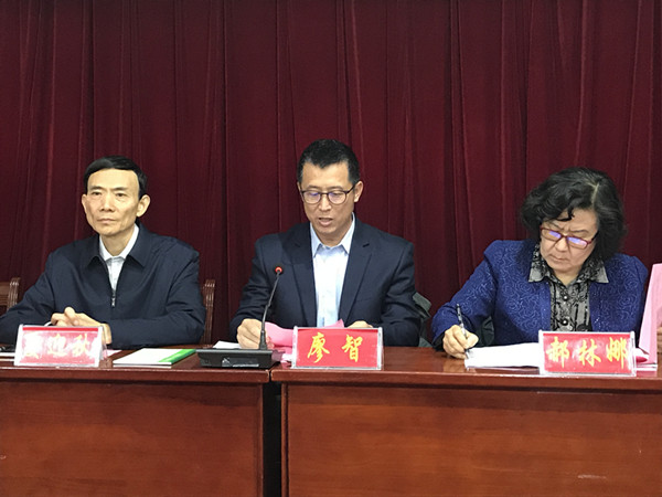 廖智副总裁发言_副本.jpg