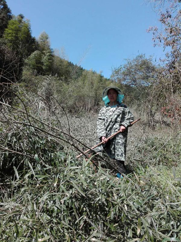 受助母亲刘检妹在山场劳动照片（江西省吉安市永新县）_副本.jpg