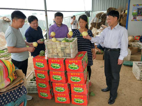 麻会长一行实地参观调研.jpg