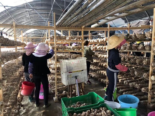 微信图片_2019122412560731 - 副本.jpg