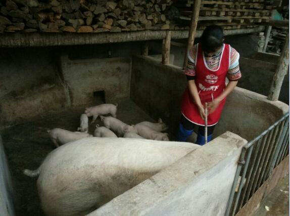 QQ截图20200804161339.jpg